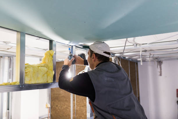 Insulation Replacement Services in Bayboro, NC