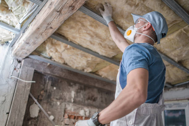 Best Insulation Contractors for Homes  in Bayboro, NC
