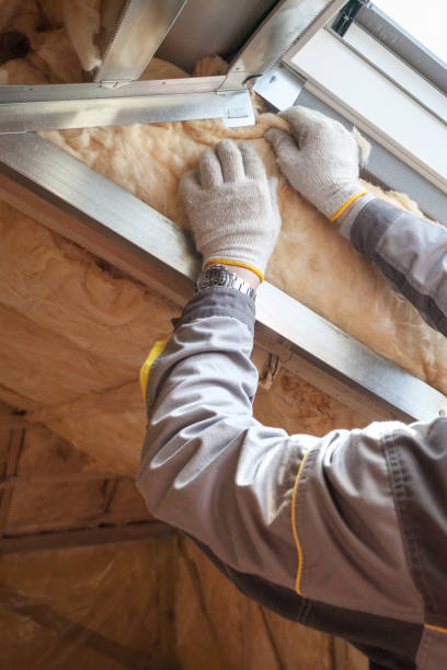Best Insulation Replacement Services  in Bayboro, NC
