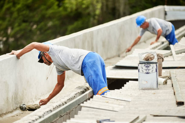Best Insulation Contractor Near Me  in Bayboro, NC