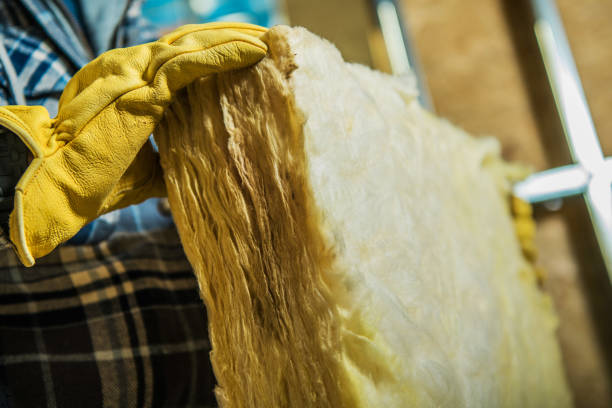 Best Cellulose Insulation  in Bayboro, NC