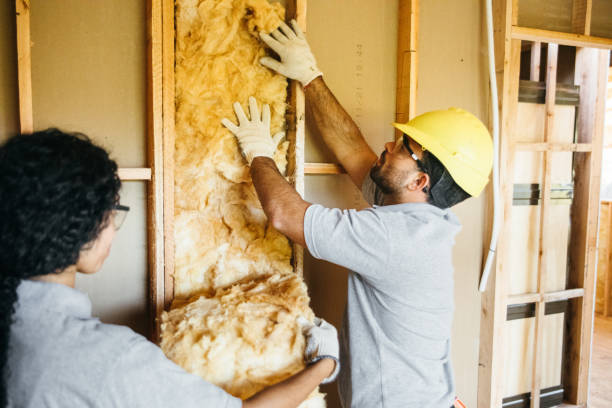 Best Spray Foam Insulation  in Bayboro, NC