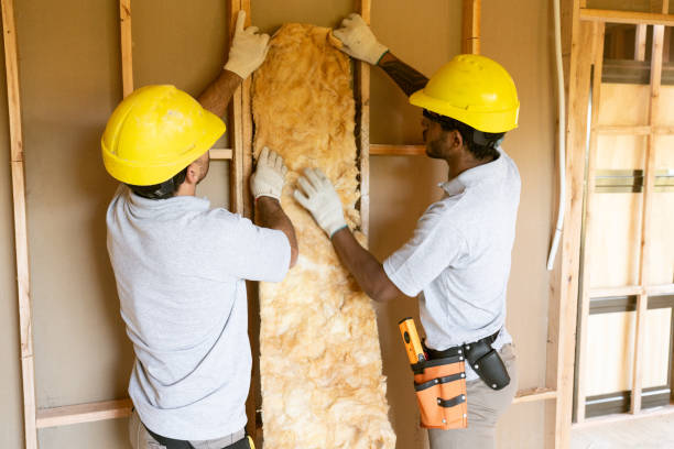 Best Wall Insulation Contractor  in Bayboro, NC