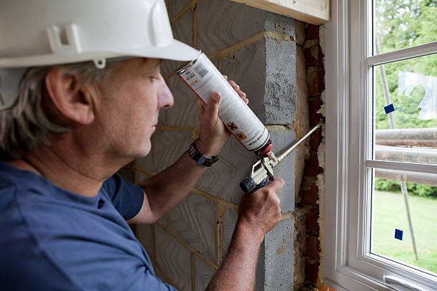 Best Local Insulation Services  in Bayboro, NC