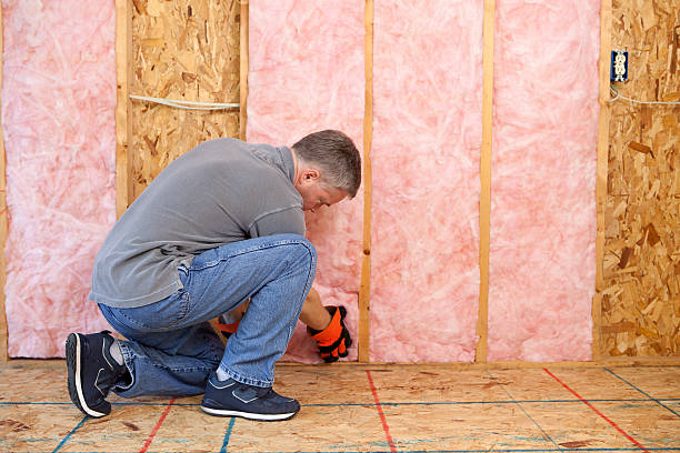 Best Insulation Replacement Services  in Bayboro, NC
