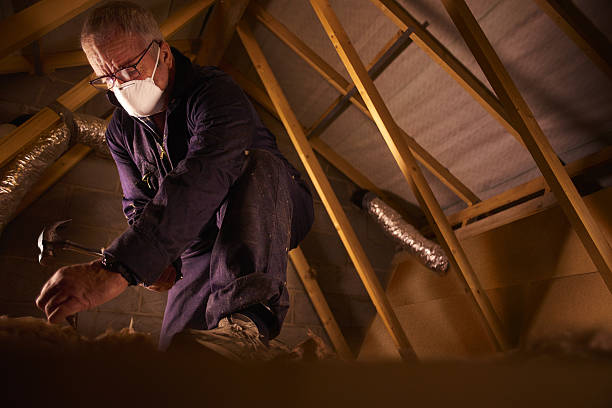 Best Energy-efficient Insulation  in Bayboro, NC