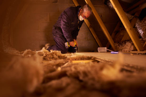 Best Fiberglass Insulation  in Bayboro, NC