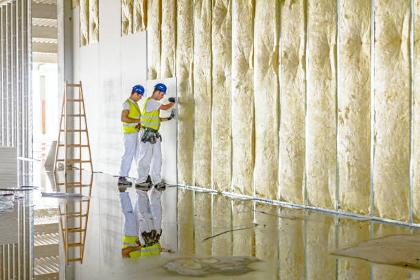 Best Affordable Insulation Services  in Bayboro, NC